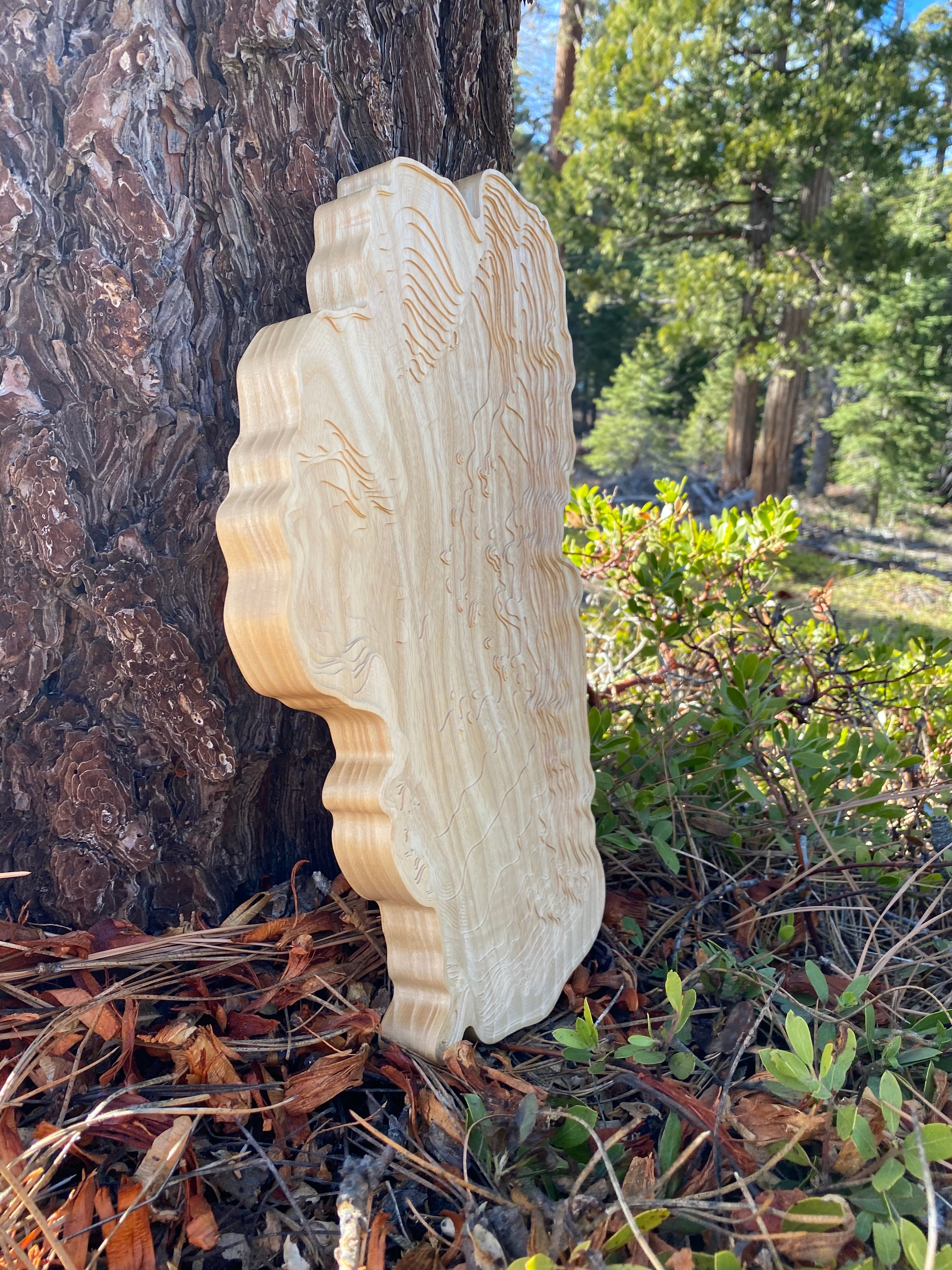 Solid Wood Lake Tahoe Depth Carving: Elm